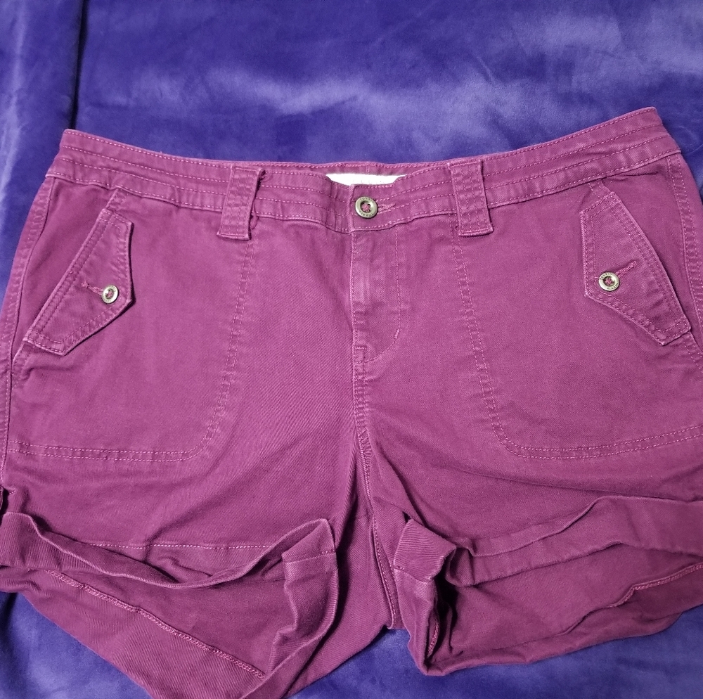 Torrid Shorts